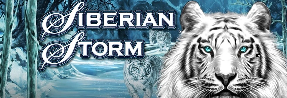 Siberian Storm banner med tigre