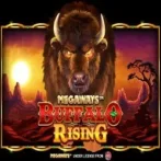 Buffalo Rising Gameplay Thumbnail