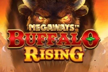 Buffalo Rising Image