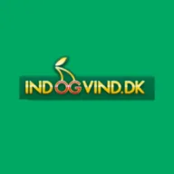 Logo billede for INDOGVIND